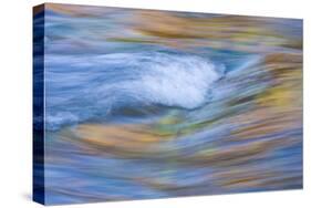 Wyoming, Sublette County, Pine Creek Abstract and Fall Colors-Elizabeth Boehm-Stretched Canvas