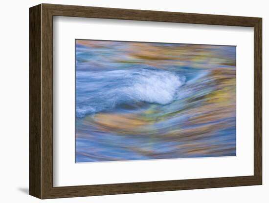 Wyoming, Sublette County, Pine Creek Abstract and Fall Colors-Elizabeth Boehm-Framed Photographic Print