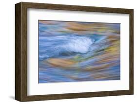 Wyoming, Sublette County, Pine Creek Abstract and Fall Colors-Elizabeth Boehm-Framed Photographic Print