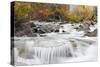 Wyoming, Sublette County, Pine Creek Flowing Through Autumn Foliage-Elizabeth Boehm-Stretched Canvas