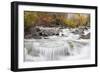 Wyoming, Sublette County, Pine Creek Flowing Through Autumn Foliage-Elizabeth Boehm-Framed Photographic Print