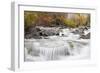 Wyoming, Sublette County, Pine Creek Flowing Through Autumn Foliage-Elizabeth Boehm-Framed Photographic Print