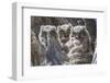 Wyoming, Sublette County. Pinedale, three Great Horned owl chicks look out from their nest-Elizabeth Boehm-Framed Photographic Print