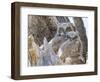 Wyoming, Sublette County. Two Great Horned Owl chicks sitting on the edge of a Cottonwood Tree snag-Elizabeth Boehm-Framed Photographic Print