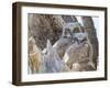 Wyoming, Sublette County. Two Great Horned Owl chicks sitting on the edge of a Cottonwood Tree snag-Elizabeth Boehm-Framed Photographic Print