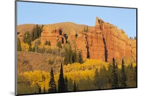 Wyoming, Sublette County. Wyoming Range, colorful autumn aspens are surrounding the Red Cliffs-Elizabeth Boehm-Mounted Photographic Print