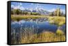 Wyoming, the Grand Teton Mountains are Reflected Along the Snake River at Schwabacher Landing-Elizabeth Boehm-Framed Stretched Canvas