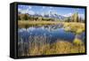 Wyoming, the Grand Teton Mountains are Reflected Along the Snake River at Schwabacher Landing-Elizabeth Boehm-Framed Stretched Canvas