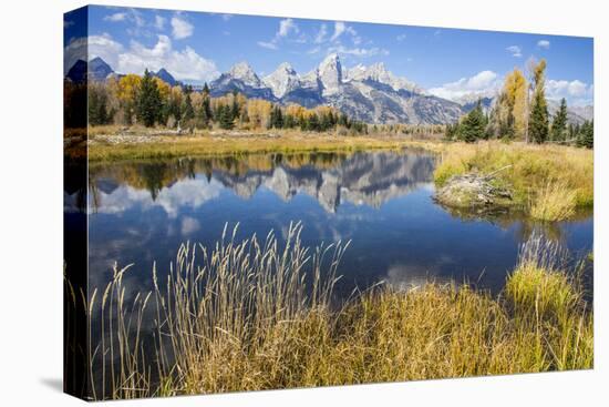 Wyoming, the Grand Teton Mountains are Reflected Along the Snake River at Schwabacher Landing-Elizabeth Boehm-Stretched Canvas