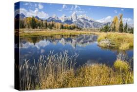 Wyoming, the Grand Teton Mountains are Reflected Along the Snake River at Schwabacher Landing-Elizabeth Boehm-Stretched Canvas