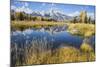 Wyoming, the Grand Teton Mountains are Reflected Along the Snake River at Schwabacher Landing-Elizabeth Boehm-Mounted Photographic Print