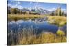 Wyoming, the Grand Teton Mountains are Reflected Along the Snake River at Schwabacher Landing-Elizabeth Boehm-Stretched Canvas