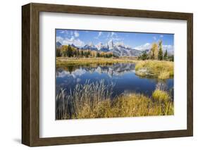 Wyoming, the Grand Teton Mountains are Reflected Along the Snake River at Schwabacher Landing-Elizabeth Boehm-Framed Photographic Print