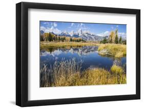 Wyoming, the Grand Teton Mountains are Reflected Along the Snake River at Schwabacher Landing-Elizabeth Boehm-Framed Photographic Print