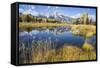 Wyoming, the Grand Teton Mountains are Reflected Along the Snake River at Schwabacher Landing-Elizabeth Boehm-Framed Stretched Canvas