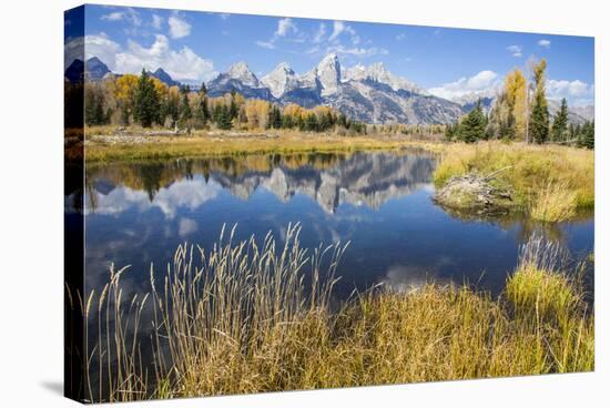 Wyoming, the Grand Teton Mountains are Reflected Along the Snake River at Schwabacher Landing-Elizabeth Boehm-Stretched Canvas