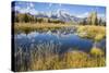 Wyoming, the Grand Teton Mountains are Reflected Along the Snake River at Schwabacher Landing-Elizabeth Boehm-Stretched Canvas