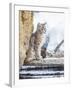 Wyoming, Yellowstone National Park, a Bobcat Sits Along the Madison River, Winter-Elizabeth Boehm-Framed Premium Photographic Print