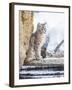 Wyoming, Yellowstone National Park, a Bobcat Sits Along the Madison River, Winter-Elizabeth Boehm-Framed Premium Photographic Print