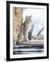 Wyoming, Yellowstone National Park, a Bobcat Sits Along the Madison River, Winter-Elizabeth Boehm-Framed Premium Photographic Print