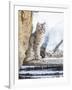 Wyoming, Yellowstone National Park, a Bobcat Sits Along the Madison River, Winter-Elizabeth Boehm-Framed Photographic Print