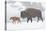 Wyoming, Yellowstone National Park, Bison and Newborn Calf Walking in Snowstorm-Elizabeth Boehm-Stretched Canvas