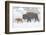 Wyoming, Yellowstone National Park, Bison and Newborn Calf Walking in Snowstorm-Elizabeth Boehm-Framed Photographic Print