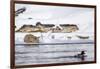 Wyoming, Yellowstone National Park, Bobcat Stalking Duck Along Madison River-Elizabeth Boehm-Framed Photographic Print