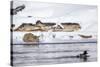 Wyoming, Yellowstone National Park, Bobcat Stalking Duck Along Madison River-Elizabeth Boehm-Stretched Canvas