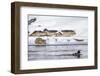 Wyoming, Yellowstone National Park, Bobcat Stalking Duck Along Madison River-Elizabeth Boehm-Framed Photographic Print