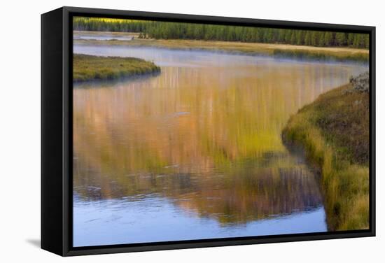 Wyoming, Yellowstone National Park. Morning on the Madison River-Jaynes Gallery-Framed Stretched Canvas