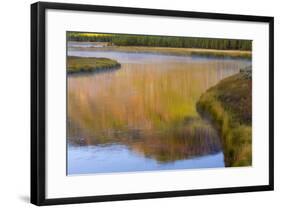 Wyoming, Yellowstone National Park. Morning on the Madison River-Jaynes Gallery-Framed Photographic Print