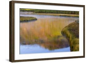 Wyoming, Yellowstone National Park. Morning on the Madison River-Jaynes Gallery-Framed Photographic Print