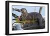 Wyoming, Yellowstone National Park, Northern River Otter on Log in Trout Lake-Elizabeth Boehm-Framed Photographic Print