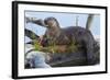 Wyoming, Yellowstone National Park, Northern River Otter on Log in Trout Lake-Elizabeth Boehm-Framed Photographic Print