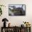 Wyoming, Yellowstone National Park, Northern River Otter on Log in Trout Lake-Elizabeth Boehm-Framed Stretched Canvas displayed on a wall