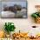 Wyoming, Yellowstone National Park, Northern River Otter Pups Eating Trout-Elizabeth Boehm-Framed Stretched Canvas displayed on a wall