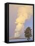 Wyoming, Yellowstone National Park, Old Faithful Geyser Erupting-Elizabeth Boehm-Framed Stretched Canvas