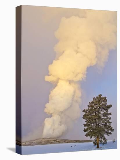 Wyoming, Yellowstone National Park, Old Faithful Geyser Erupting-Elizabeth Boehm-Stretched Canvas