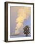 Wyoming, Yellowstone National Park, Old Faithful Geyser Erupting-Elizabeth Boehm-Framed Photographic Print