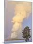 Wyoming, Yellowstone National Park, Old Faithful Geyser Erupting-Elizabeth Boehm-Mounted Photographic Print