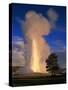 Wyoming, Yellowstone National Park, Old Faithful, Steam and Water Erupting from Thermal Pool-null-Stretched Canvas