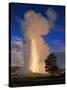 Wyoming, Yellowstone National Park, Old Faithful, Steam and Water Erupting from Thermal Pool-null-Stretched Canvas