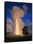 Wyoming, Yellowstone National Park, Old Faithful, Steam and Water Erupting from Thermal Pool-null-Framed Stretched Canvas