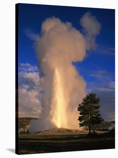 Wyoming, Yellowstone National Park, Old Faithful, Steam and Water Erupting from Thermal Pool-null-Stretched Canvas