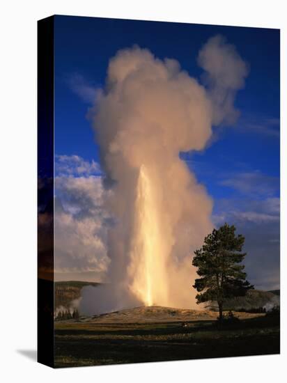 Wyoming, Yellowstone National Park, Old Faithful, Steam and Water Erupting from Thermal Pool-null-Stretched Canvas