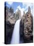 Wyoming, Yellowstone National Park, Tower Falls on Tower Creek-Christopher Talbot Frank-Stretched Canvas