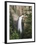 Wyoming, Yellowstone National Park, Tower Falls on Tower Creek-Christopher Talbot Frank-Framed Premium Photographic Print