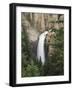 Wyoming, Yellowstone National Park, Tower Falls on Tower Creek-Christopher Talbot Frank-Framed Photographic Print