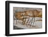 Wyoming, Yellowstone National Park-Judith Zimmerman-Framed Photographic Print